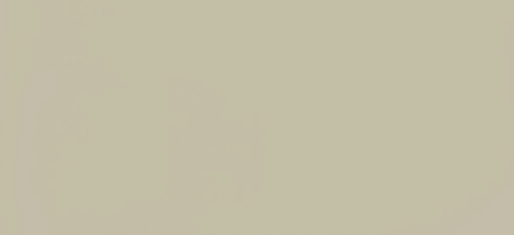 Light Grey 729 Soft Touch